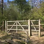 Comfortabel Tot Rust Komen In Het Veluwse Bos Prázdninový dům Otterlo