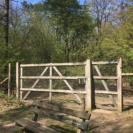 Comfortabel Tot Rust Komen In Het Veluwse Bos Ferienhaus Otterlo