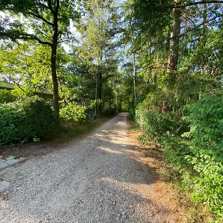 Comfortabel Tot Rust Komen In Het Veluwse Bos