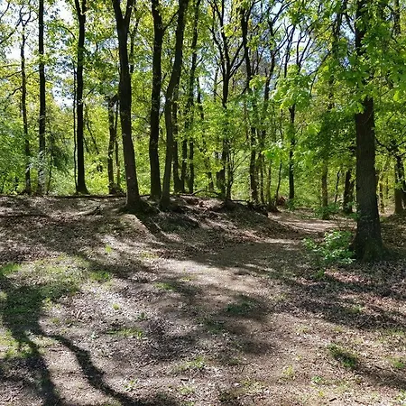 Prázdninový dům Comfortabel Tot Rust Komen In Het Veluwse Bos