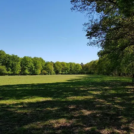 Comfortabel Tot Rust Komen In Het Veluwse Bos Prázdninový dům