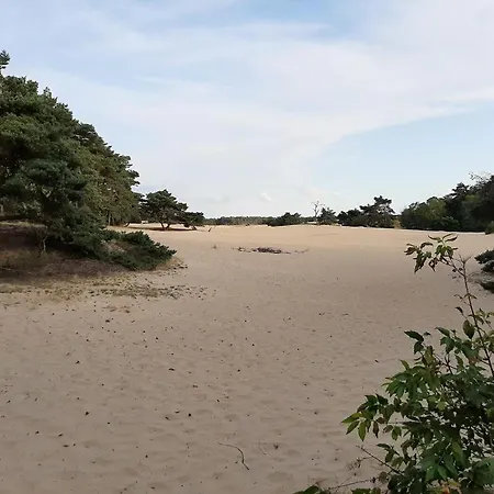 Comfortabel Tot Rust Komen In Het Veluwse Bos * Otterlo