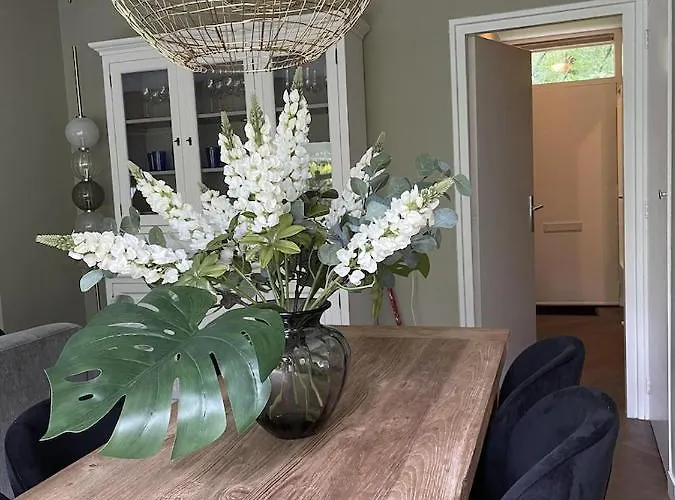 Semesterbostad Comfortabel Tot Rust Komen In Het Veluwse Bos *