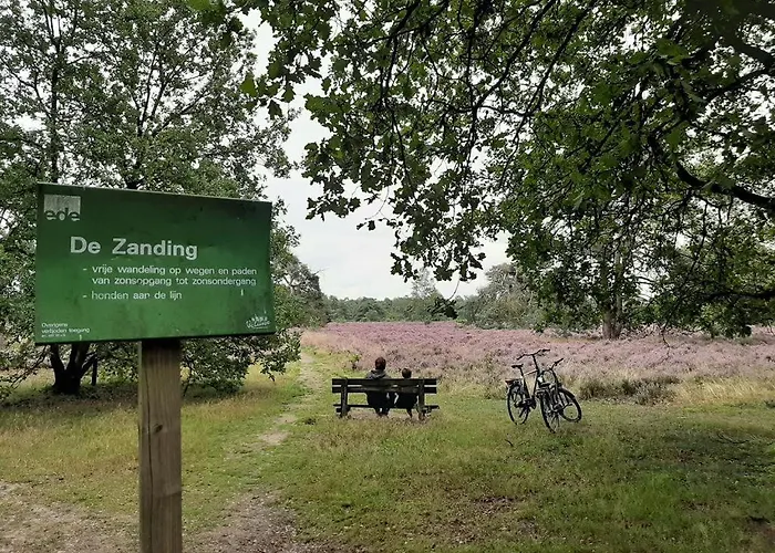 Comfortabel Tot Rust Komen In Het Veluwse Bos Otterlo