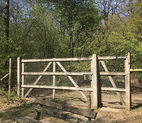 Comfortabel Tot Rust Komen In Het Veluwse Bos Сasa de vacaciones Otterlo