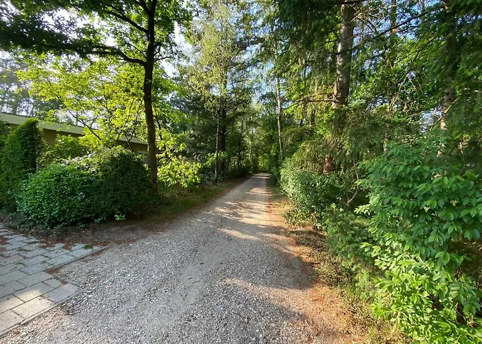 Comfortabel Tot Rust Komen In Het Veluwse Bos