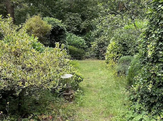 Comfortabel Tot Rust Komen In Het Veluwse Bos Otterlo