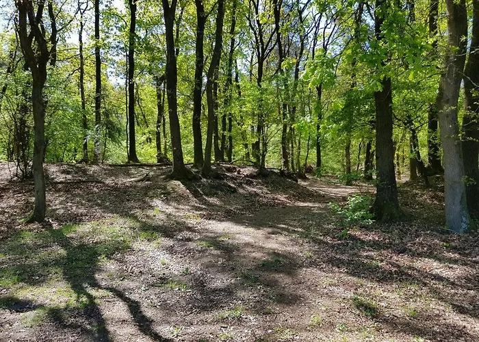 Semesterbostad Comfortabel Tot Rust Komen In Het Veluwse Bos