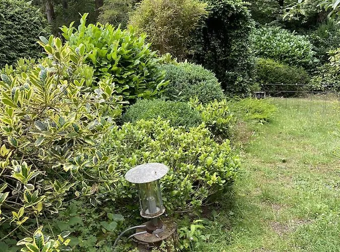 Comfortabel Tot Rust Komen In Het Veluwse Bos Otterlo