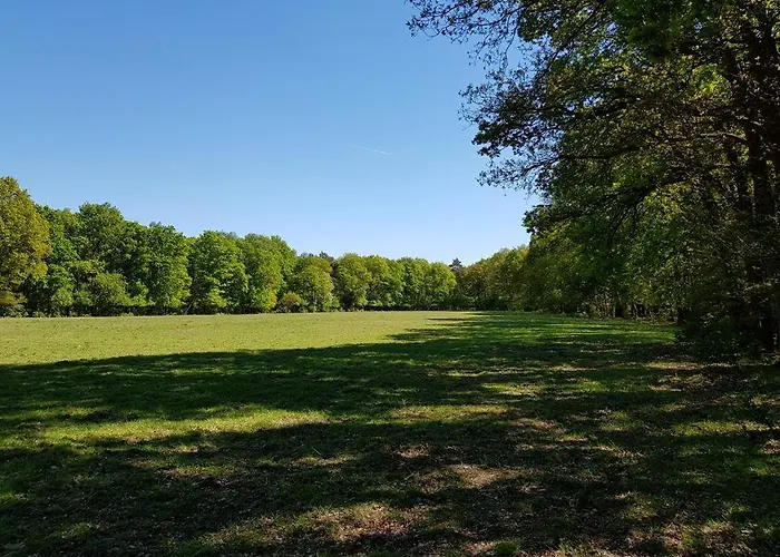 Comfortabel Tot Rust Komen In Het Veluwse Bos Semesterbostad