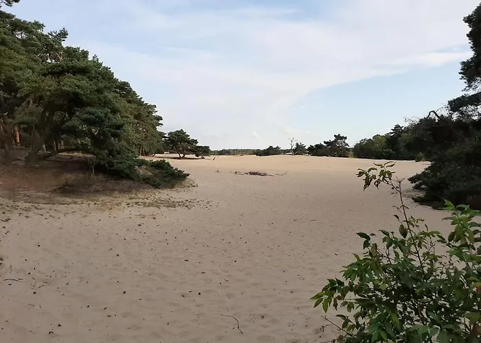 Comfortabel Tot Rust Komen In Het Veluwse Bos * Otterlo