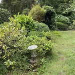 Comfortabel Tot Rust Komen In Het Veluwse Bos Оттерло