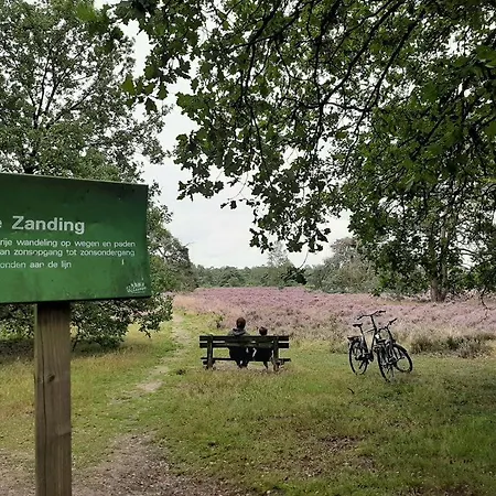 Comfortabel Tot Rust Komen In Het Veluwse Bos Оттерло