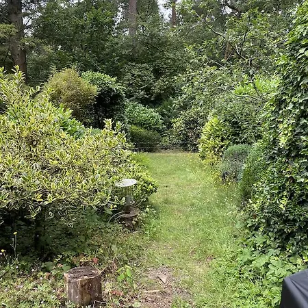 Comfortabel Tot Rust Komen In Het Veluwse Bos オッテルロ