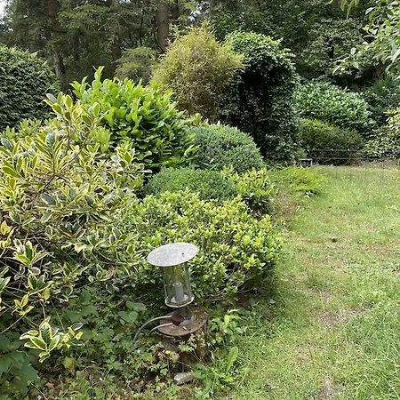 Comfortabel Tot Rust Komen In Het Veluwse Bos オッテルロ